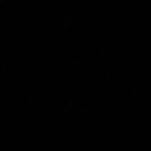 Meet your Posher, Gee